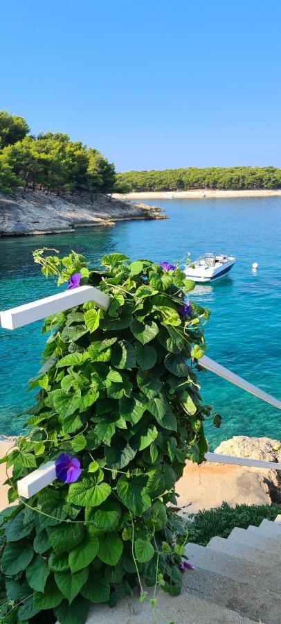Maneni Βίλα Rogoznica  Εξωτερικό φωτογραφία