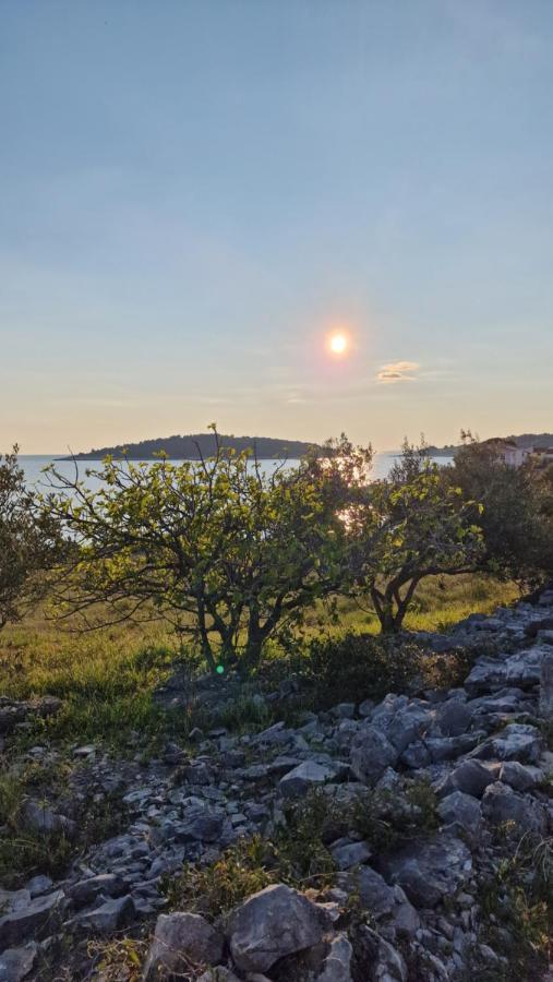 Maneni Βίλα Rogoznica  Εξωτερικό φωτογραφία